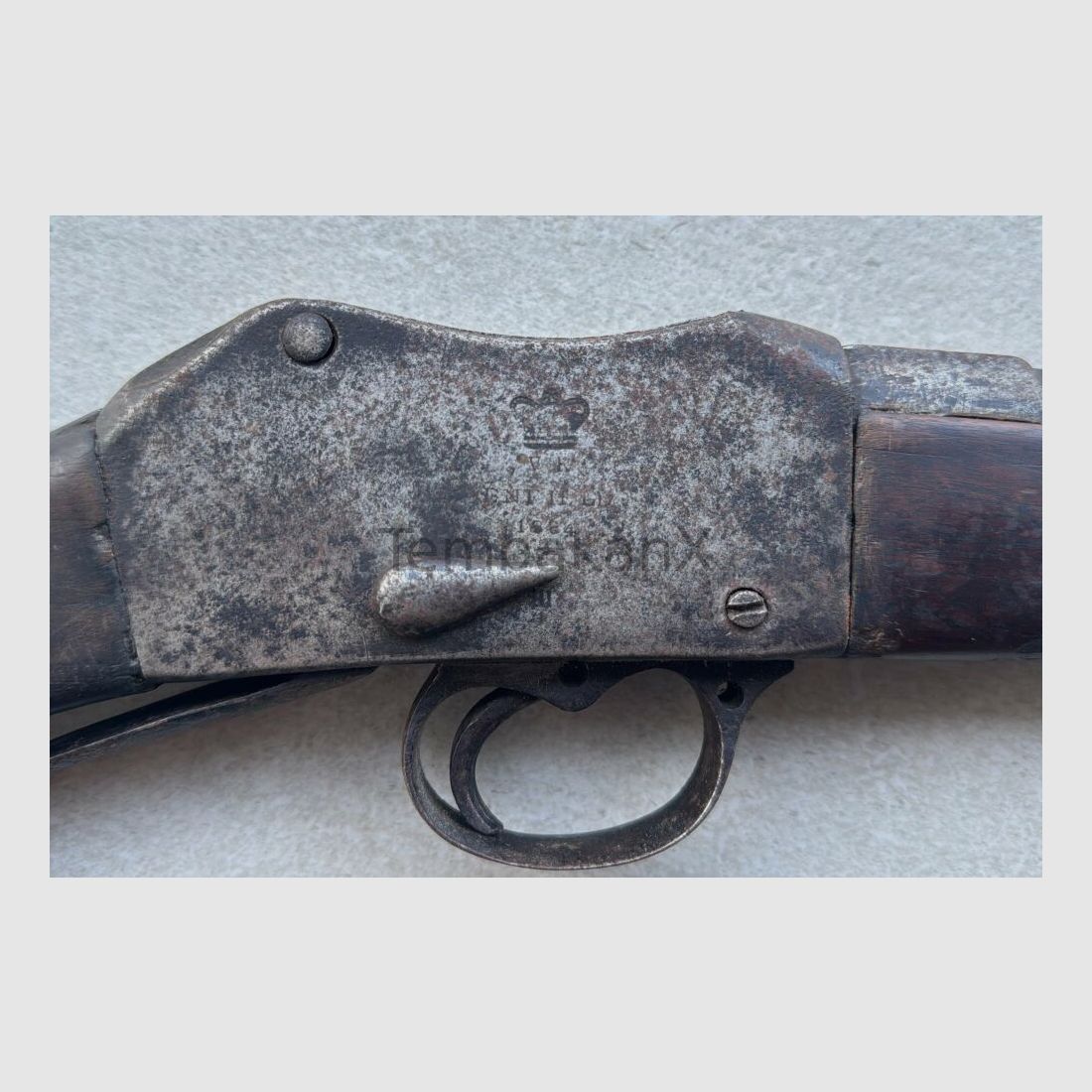 Enfield Bj. 1875 (vermutlich) .445SuperMag