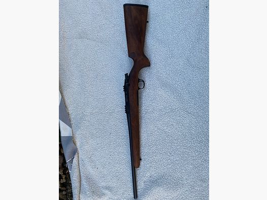 Acciaio Azione HS .308 Win