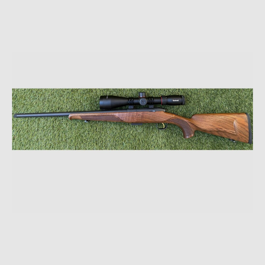 Steyr Mannlicher Zephyr II con ottica Bushnell .17HMR