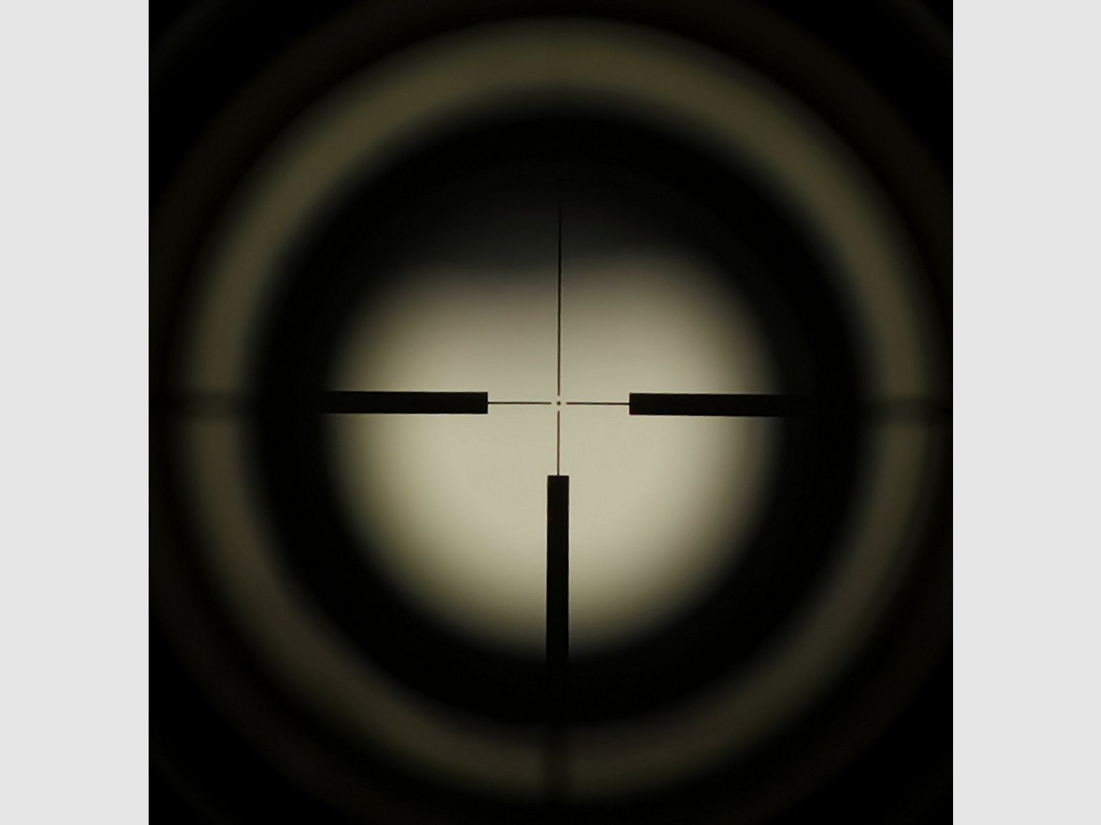 Blaser GB 860 Luxe avec Svarovski Habicht 3-12x56