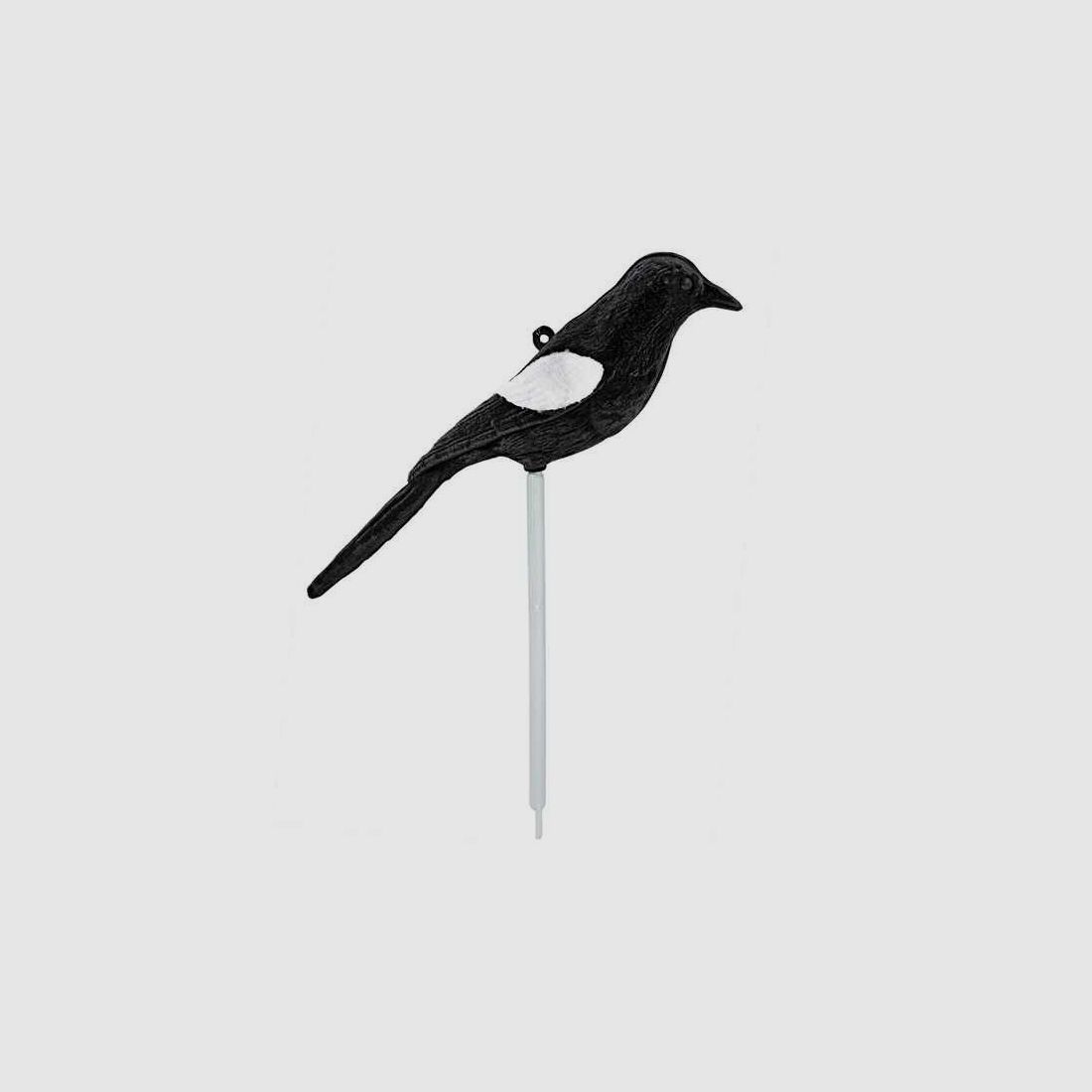 Lockvogel Elster in Verbindung mit der Elsternfalle oder auch ergänzend zum Krähenbild