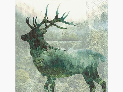 Servilletas Magic Derr - (a20)