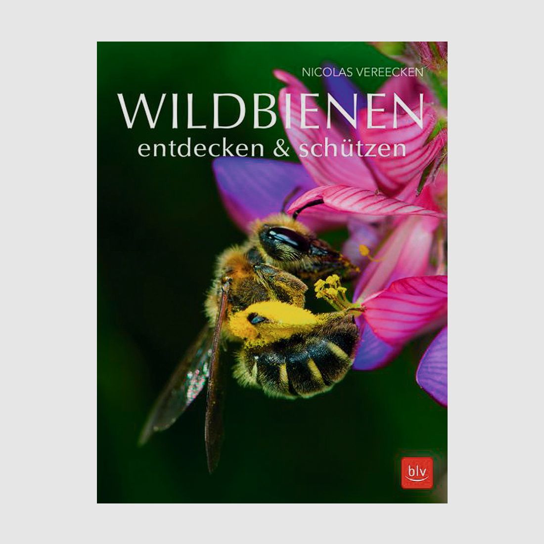 Gräfe & Unzer Wildbienen entdecken & schützen