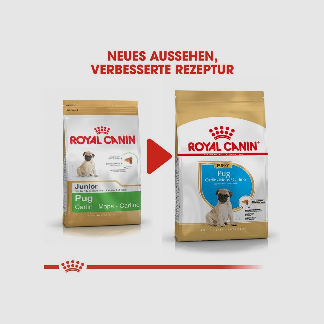 ROYAL CANIN Mops Trockenfutter Adult 3 Kg