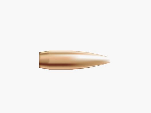 NOSLER 22 CALIBER (0.224″) 69GR HOLLOW POINT BOAT TAIL 250/BOX
