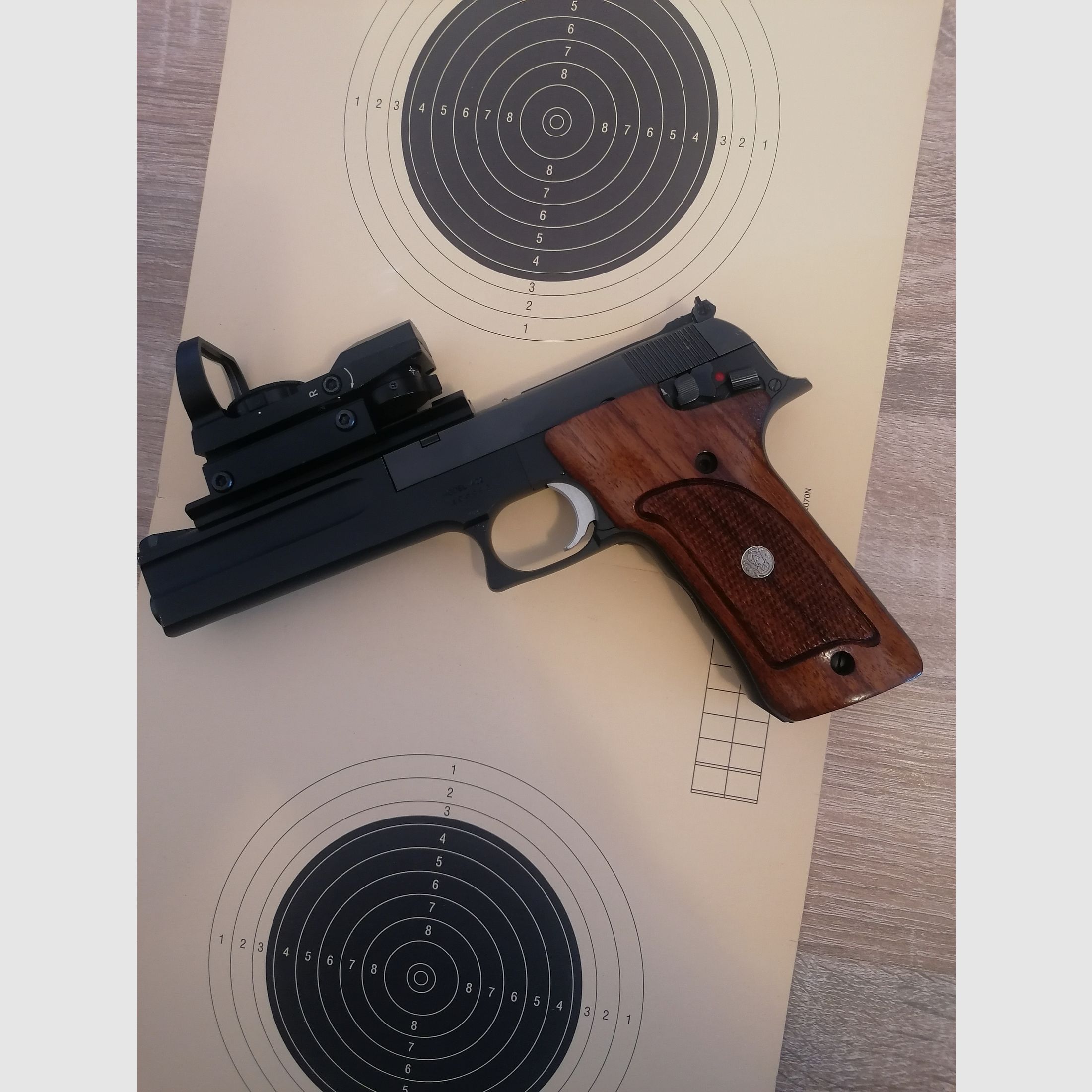 Smith & Wesson 422 .22 l.r.