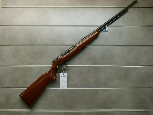 Carabine Remington