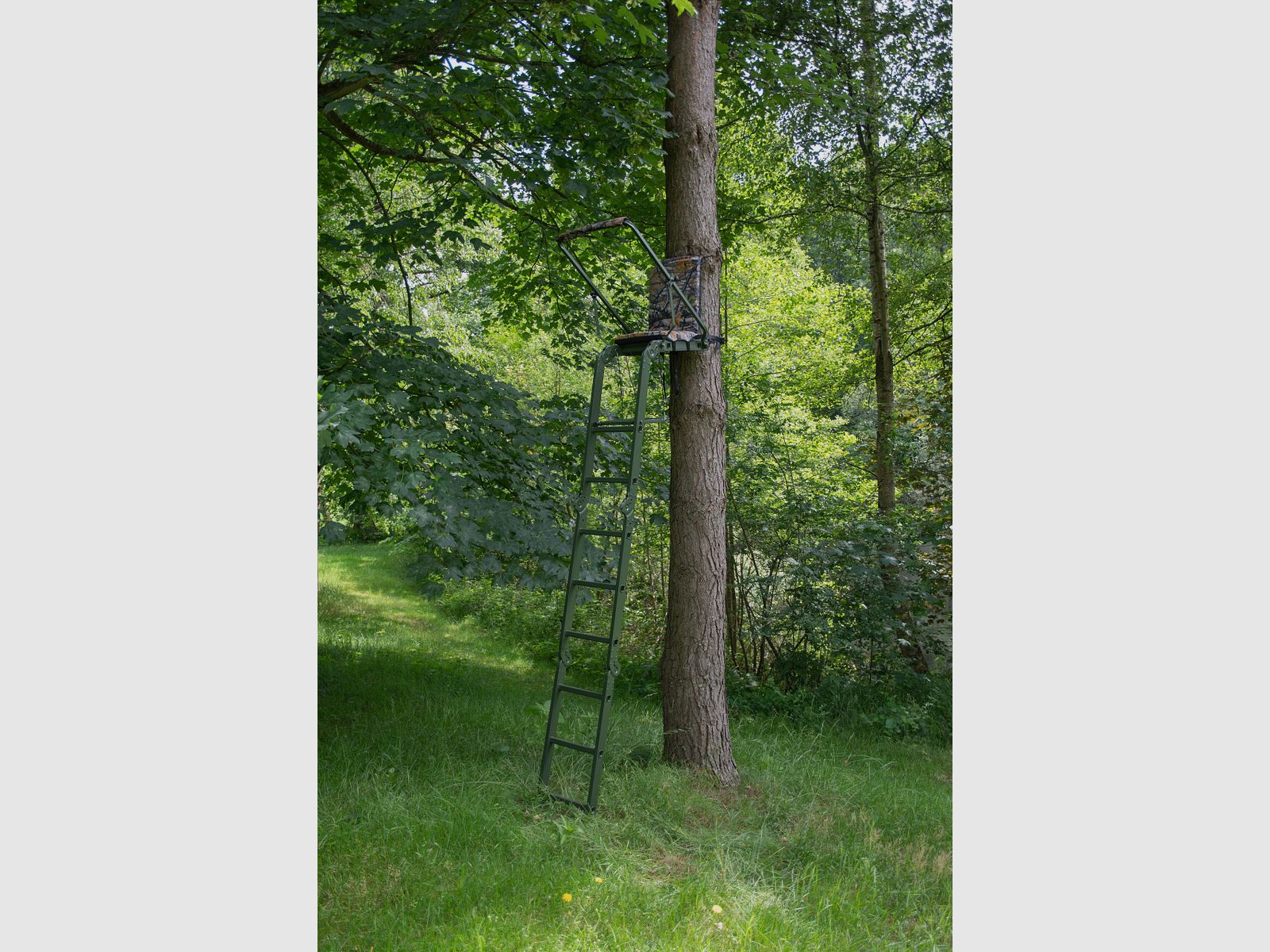 Berger & Schröter hunting seat ladder