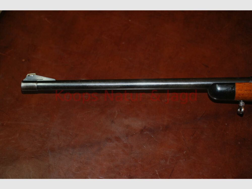 Steyr GK