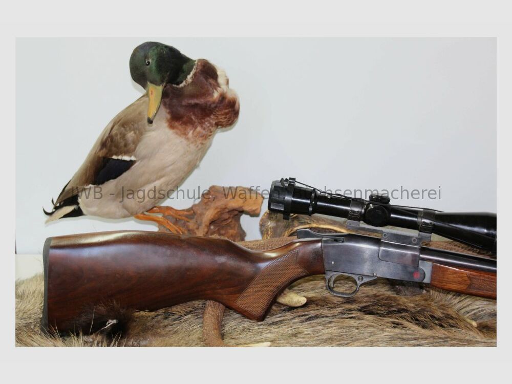 ZBROJOVKA BRNO break-action rifle 5.6x50Mag