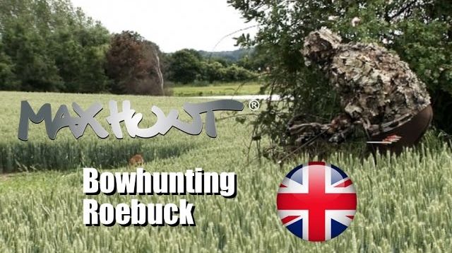 Bowhunting  European Roebuck - How to get successful