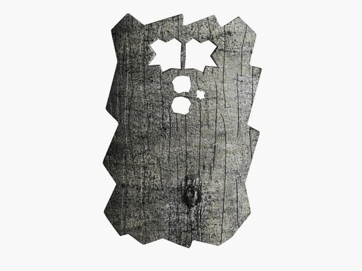 Minox front cover 80408098 beech DTC 460