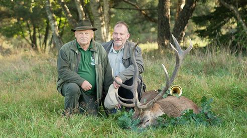 Jagdvideo Brunft Pommern - 3 Hirsche liegen auf der Strecke!