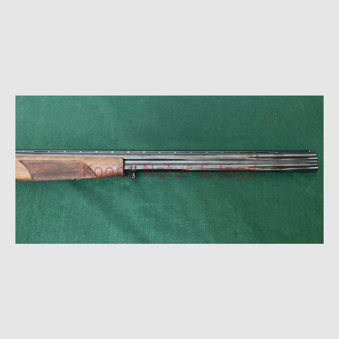 Browning GTS, immagine 5 di 7