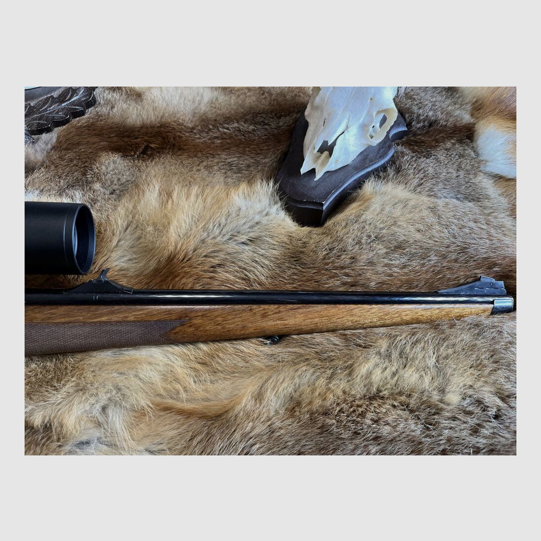Steyr Mannlicher