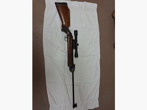 DIANA Mod. 35
