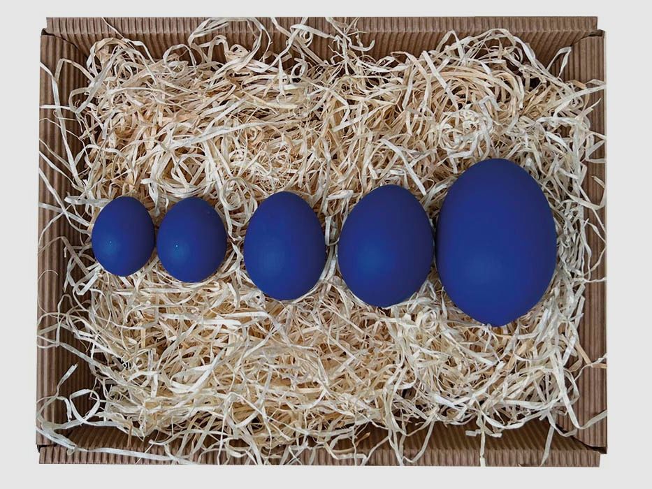 UV-blau fluoreszierendes Lockei Huhn