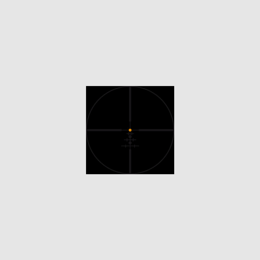 Swarovski Optik 1-8x24 Z8i SR