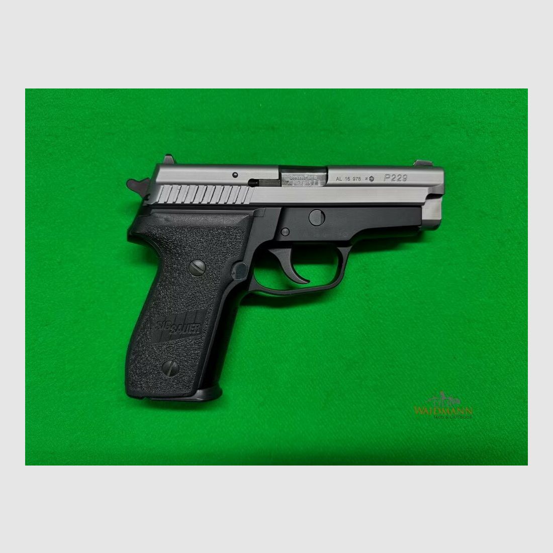 Sig Sauer P229