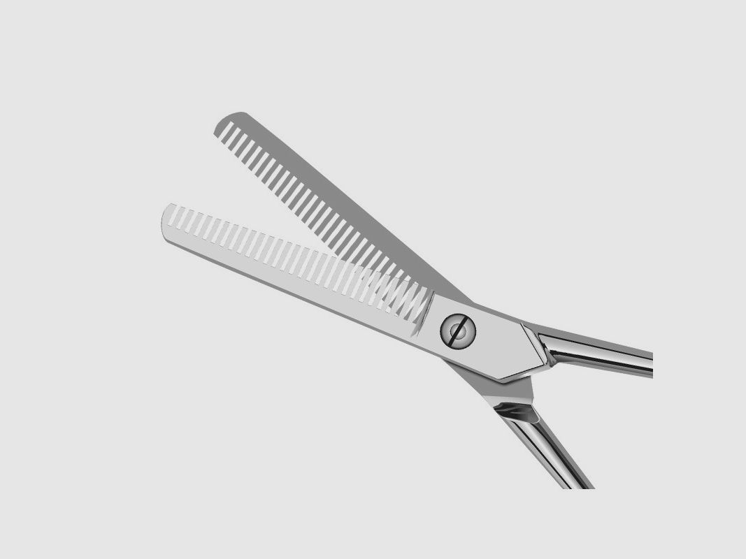 FILLETING KNIFE DUE CIGNI 16CM NICKEL, image 2 of 2