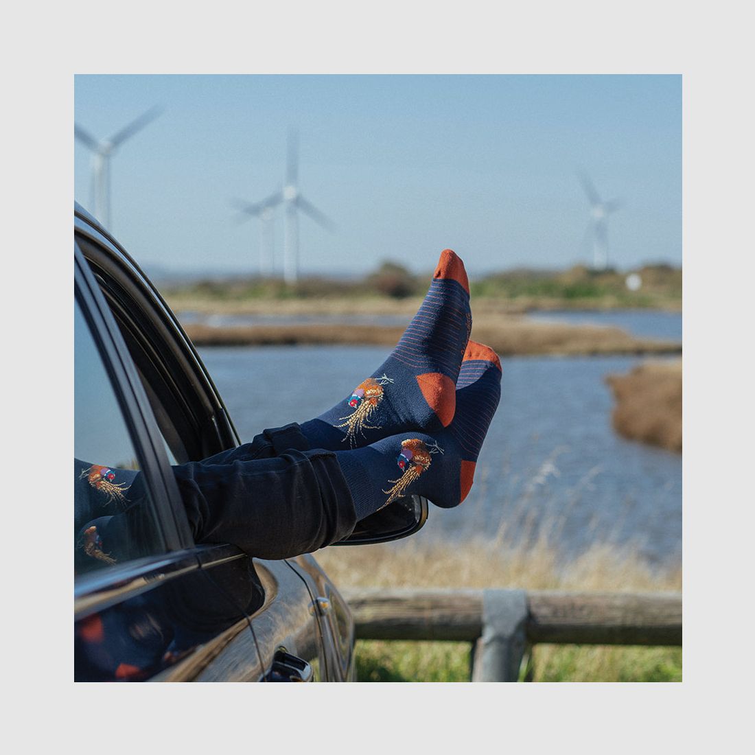 Wrendale Herren - Socken "Ready For My Close Up" mit Fasan