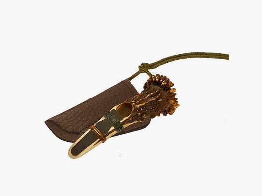 Rottumtaler Rehblatter Róża Typ 1