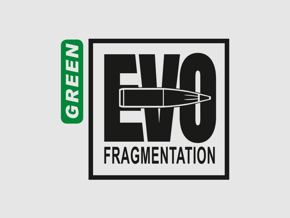 RWS .308 Win Evolution Green Hunting 9.0g 139grs, afbeelding 3 van 3