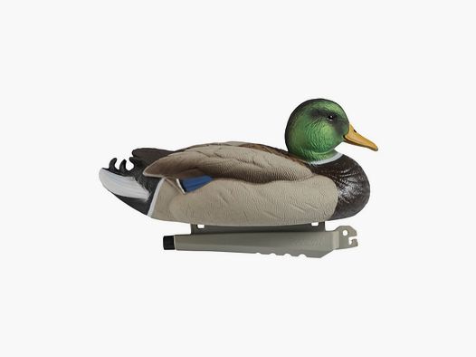 Forme de canard colvert male ultra HD insubmersible Stepland
