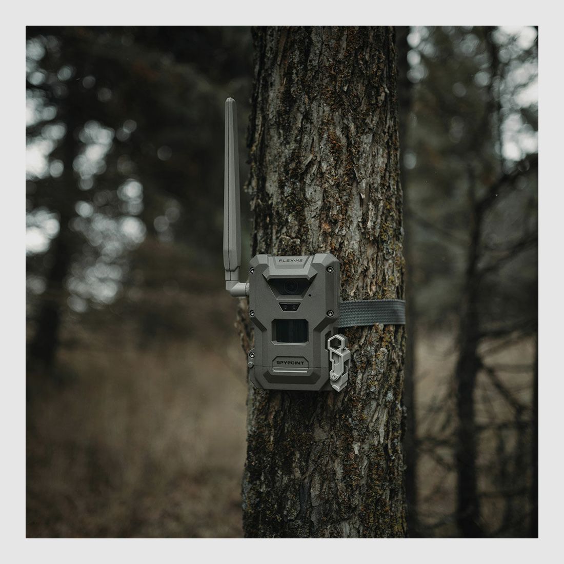 Spypoint FLEX-M2 Wildkamera, Bild 2 von 5