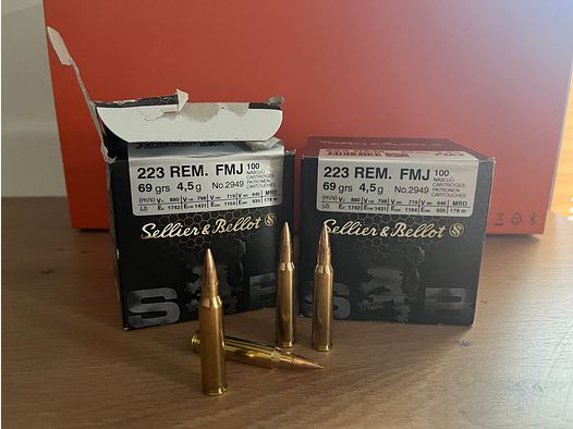 S&B .223 69gr