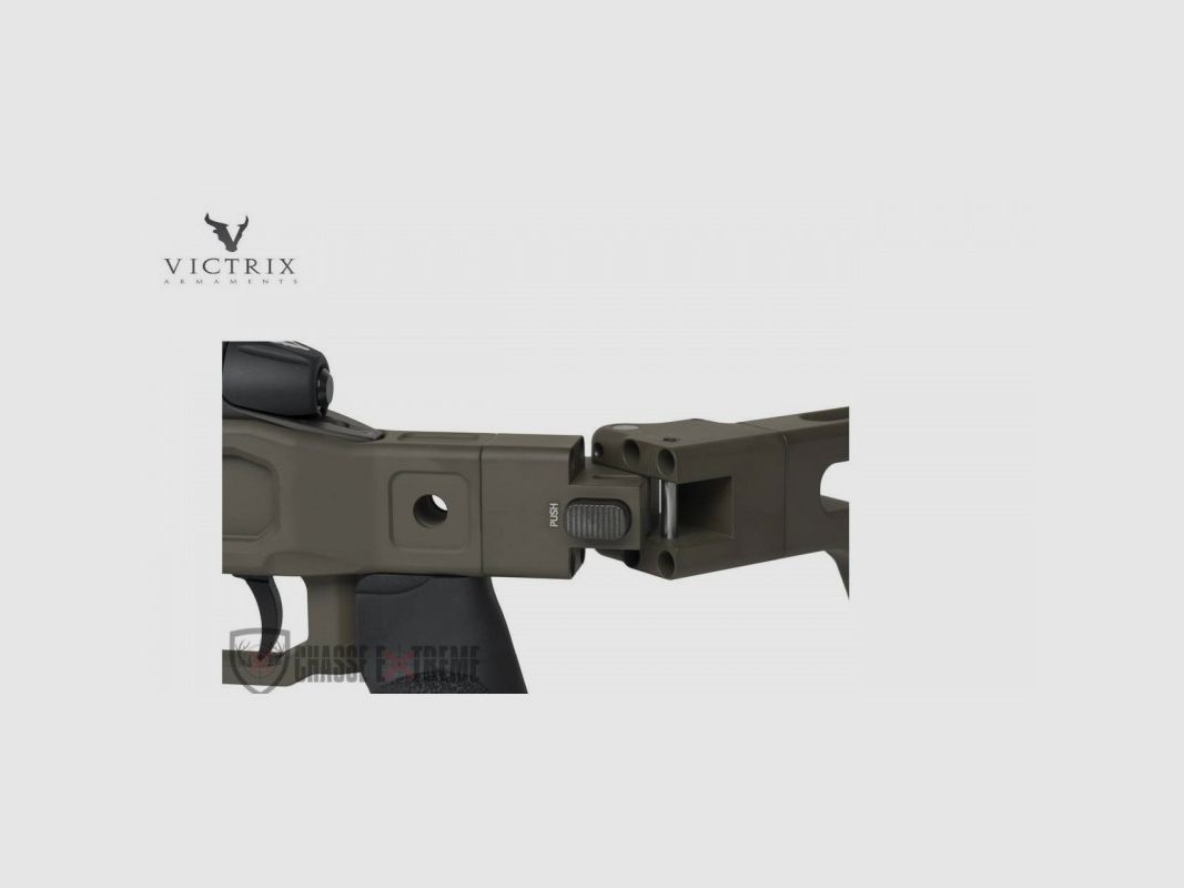 Büchse VICTRIX Scorpio V 26" Kal. 300 Win Mag, Bild 2 von 5