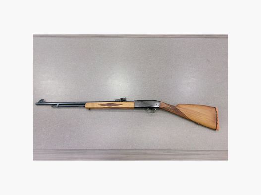 HIGGINS 30 CAL22LR used