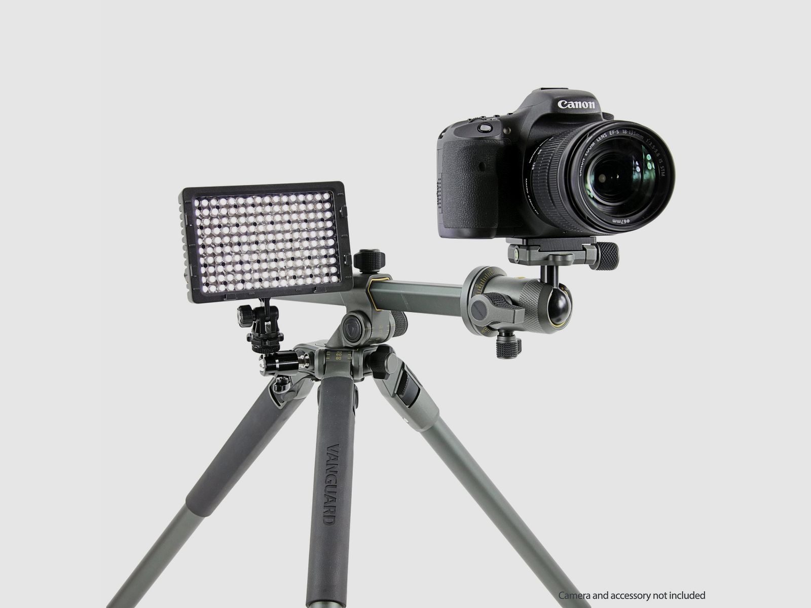 Vanguard World Alta Pro 2+ 263AB 100 – Aluminiumstativ, Kugelkopf, Bild 3 von 4