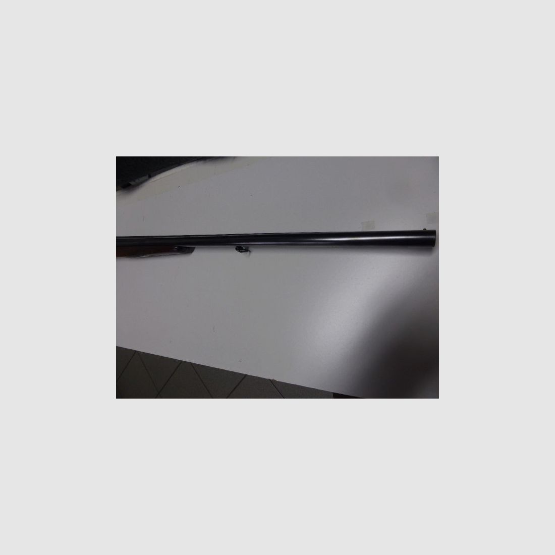 Fortuna Suhl	 Jagd