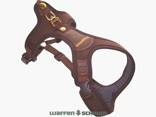 Niggeloh Chiens-FG Follow Light marron