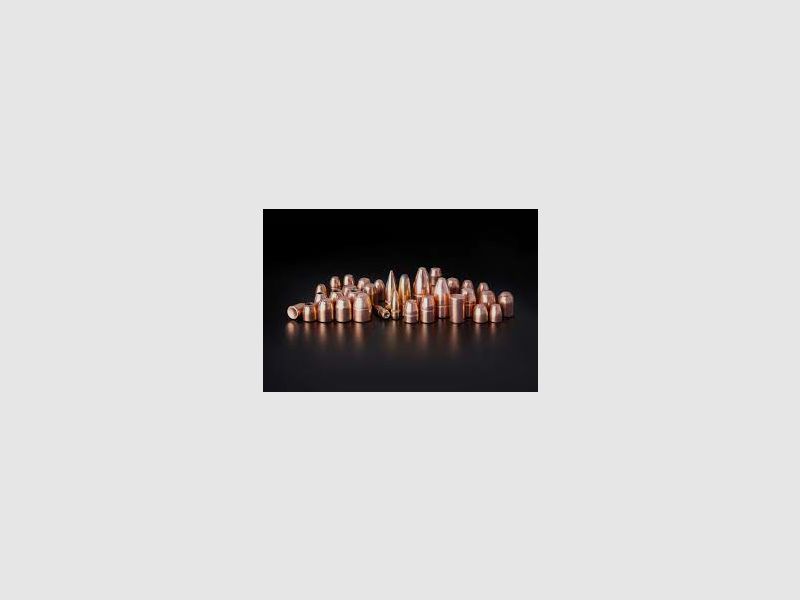 250 Bullets Cam Pro Caliber .303 (311) FCP-SP 180 grains, image 2 of 4