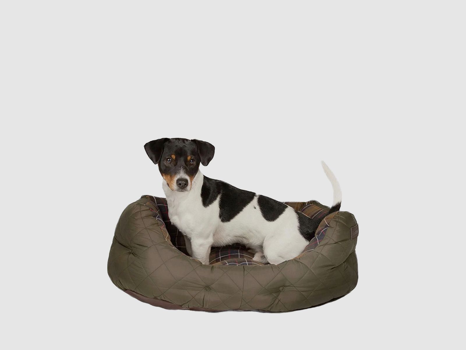 Cama para perros BARBOUR acolchada oliva