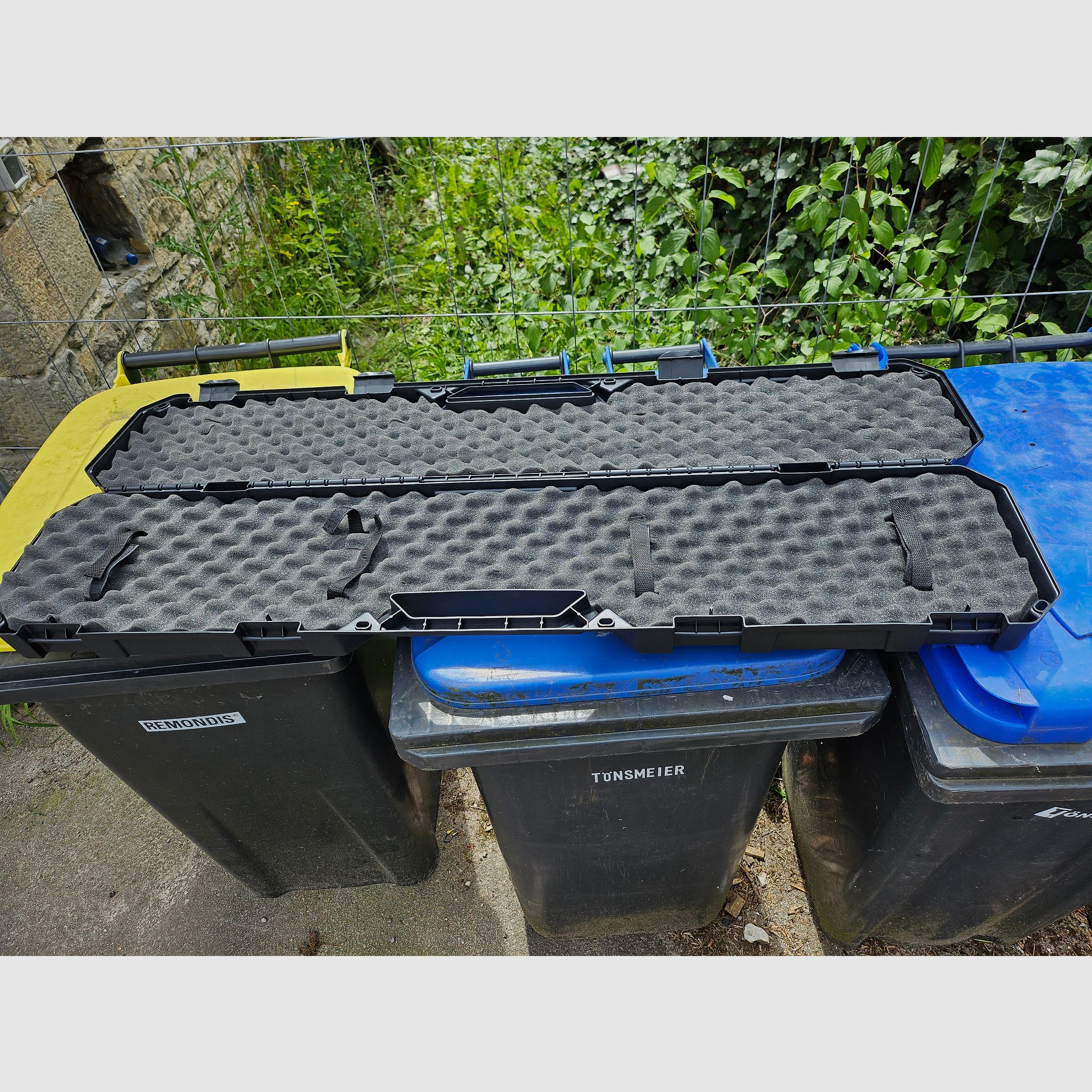 Ruger gun case