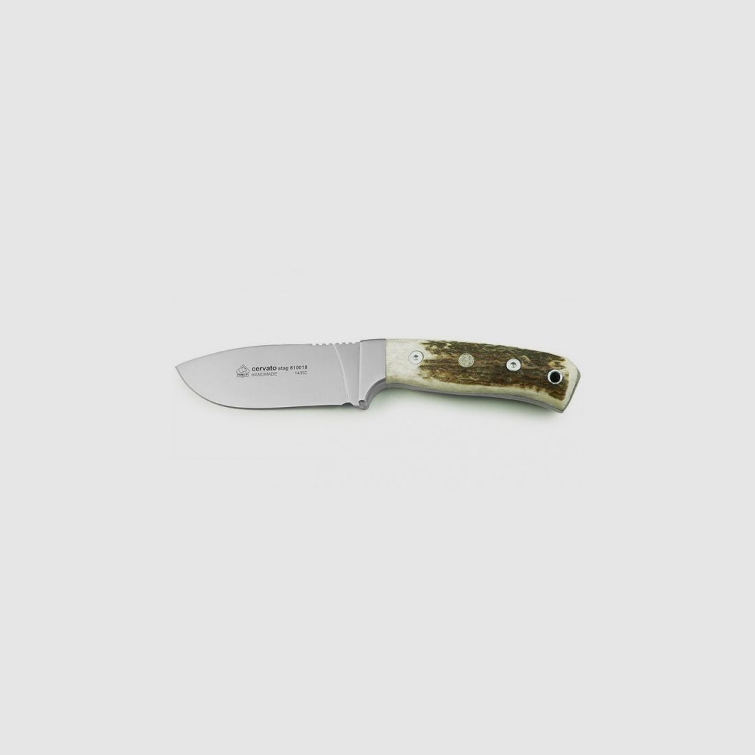 PUMA IP cervato, stag