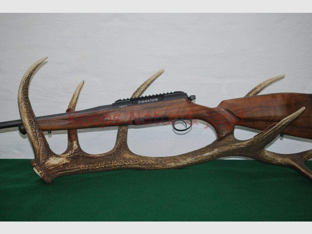 Rössler Signature Luxus