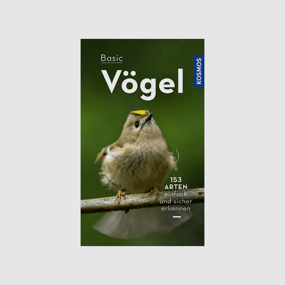 Buch "Basic Vögel"