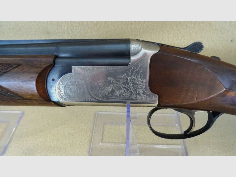 Kettner Campione