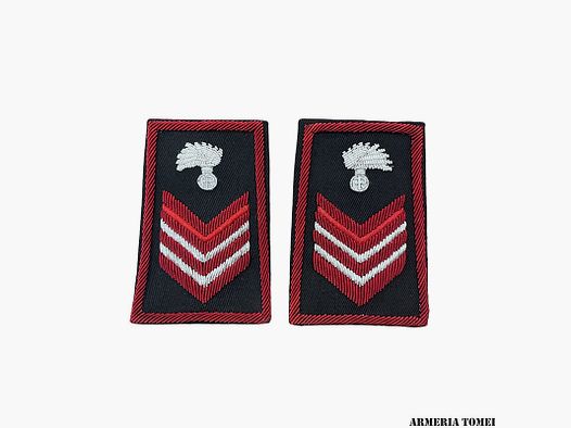 CARABINIERI – TUBULAR APUNTADO SELECCIONADO BORDADO EN CANVAS (NEGRO)