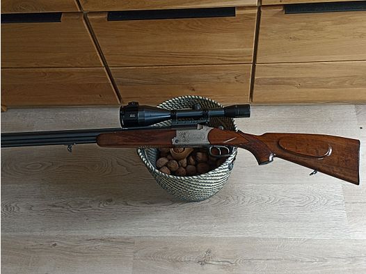 Blaser es 67