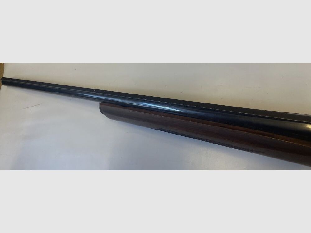 Rottweil 67G