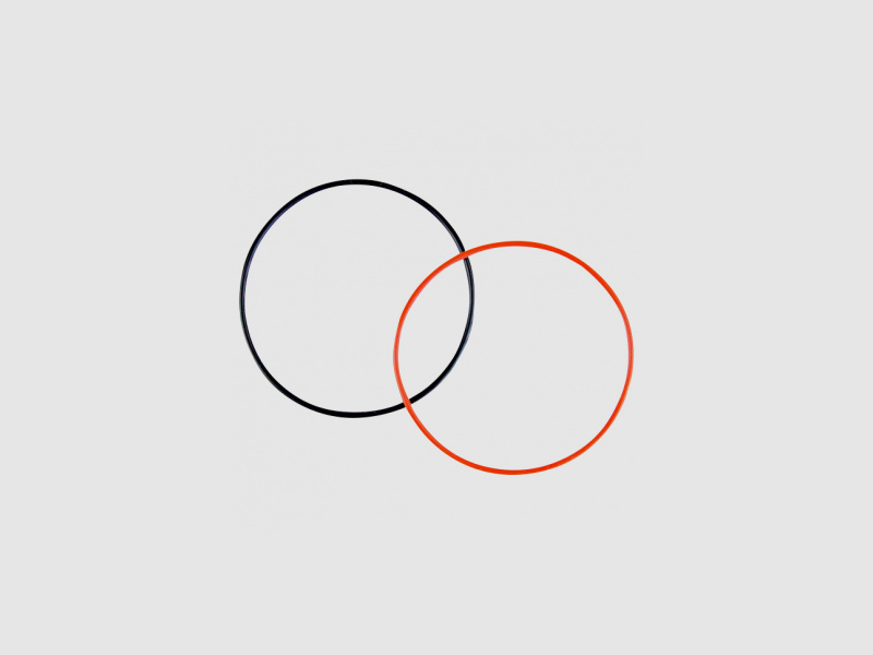 Set di guarnizioni in gomma O per chiusura a baionetta