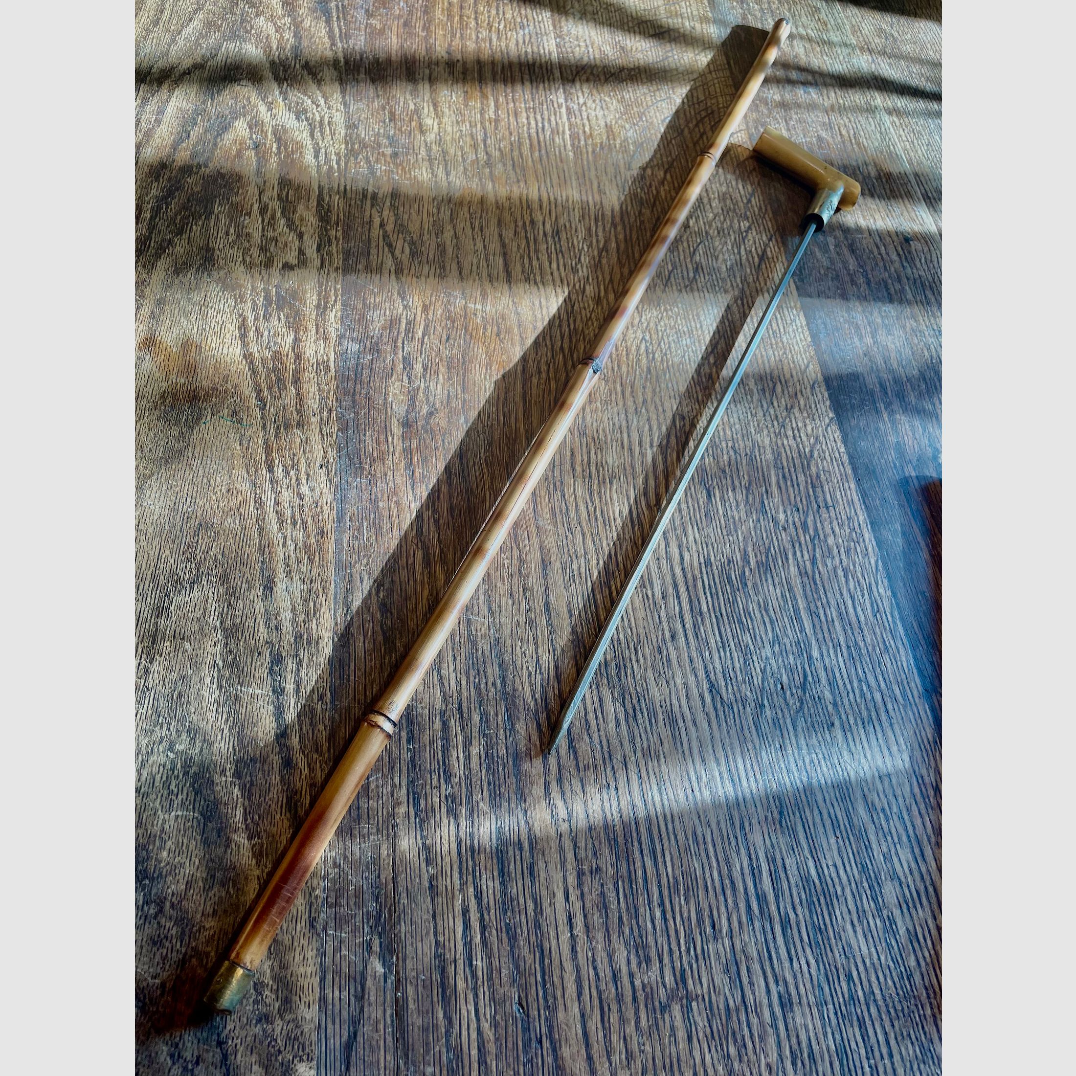 DEAD OR GLORY - Walking stick with contents - antique around 1880