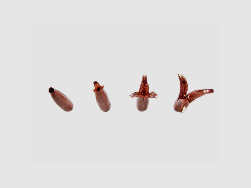 Hasler Hunting Ogiva H kal 7 (.284) 125 grn cb 0,375, afbeelding 2 van 2