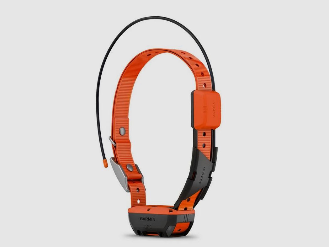 Garmin Alpha T20 K GPS Hundegerät / Hundehalsband