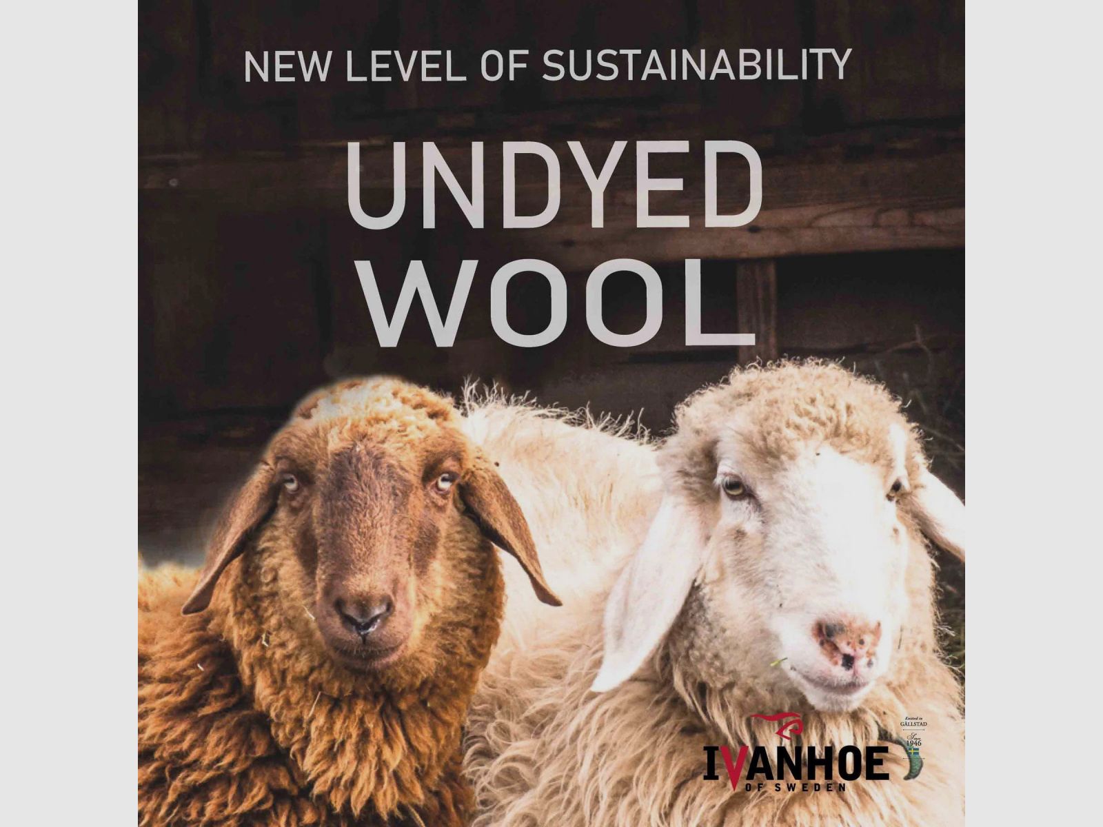 IVANHOE NLS TWIG Full Zip Noce